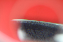 IMG 7929 (FILEminimizer)