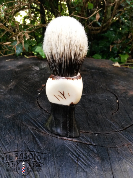 Tagua-Morta2