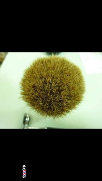 frank shaving 