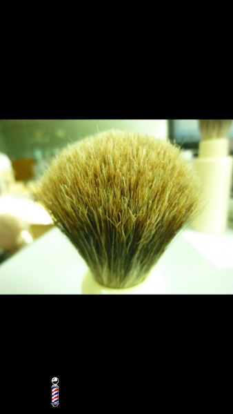 frank shaving 