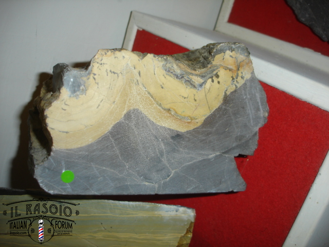 DSC06960