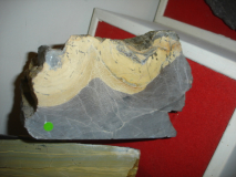 DSC06960