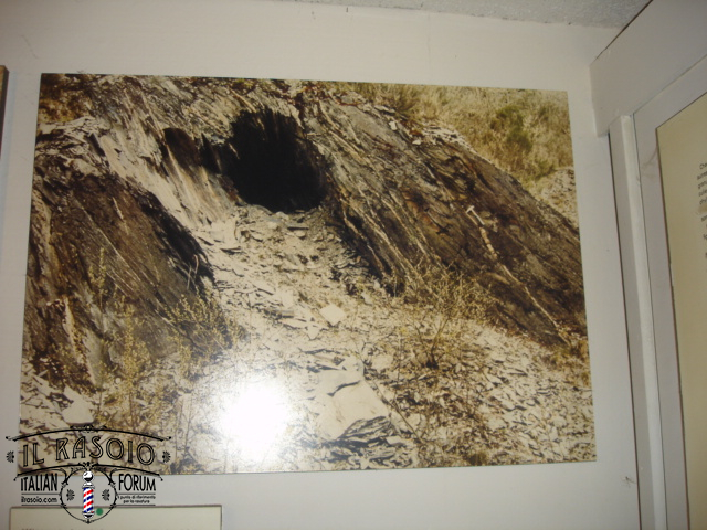 DSC06965