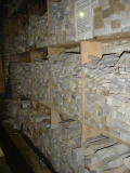 DSC06981