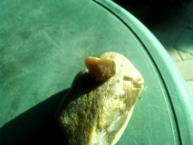 IMG 20151220 095059