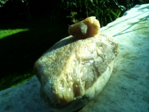 IMG 20151220 113057