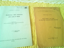 IMG 20151220 113233
