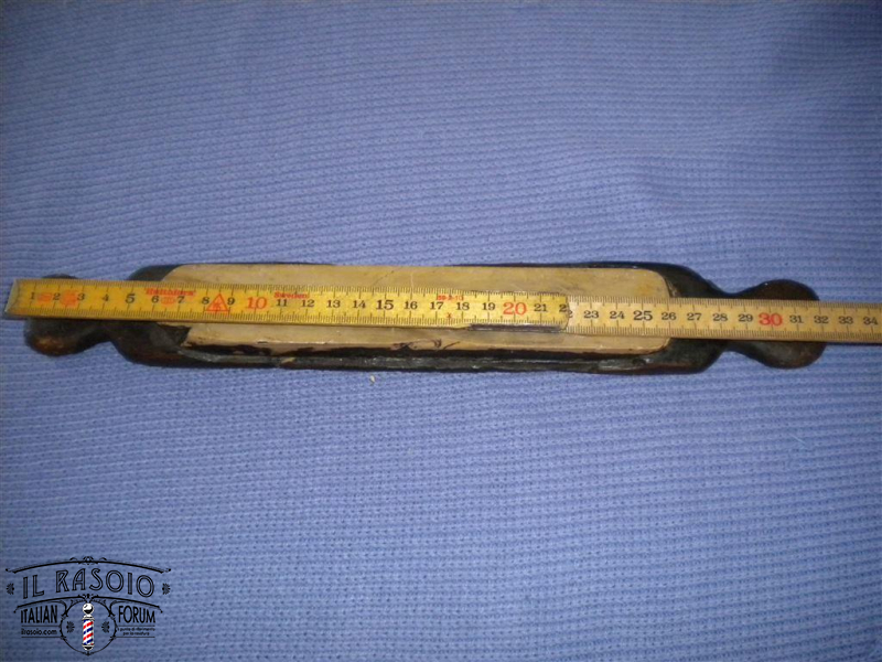 Possibile belga gialla