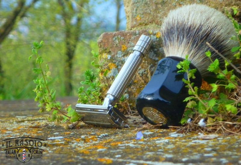 sotd 6.4.2016