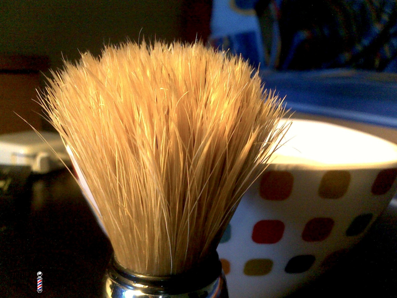 lato strizzato