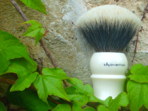 sotd 12.05.16