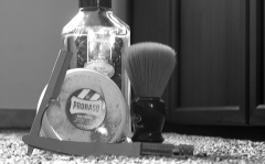SOTD-19.05