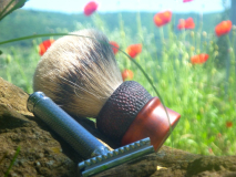 sotd 22.5.2016