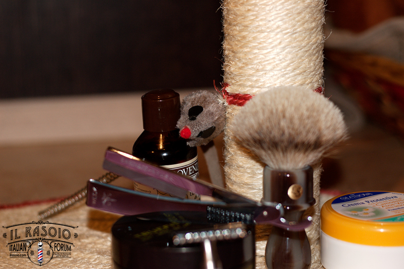 SOTD-23.05