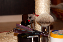 SOTD-23.05