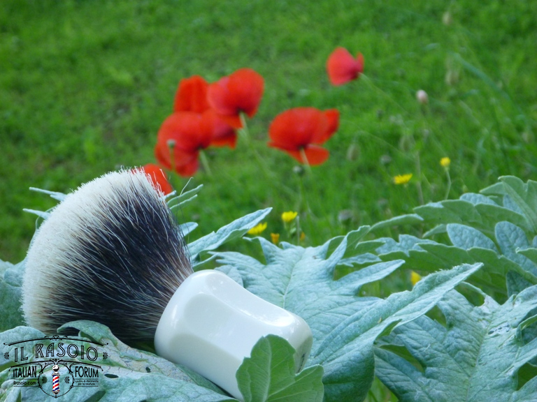 sotd 26.05.16