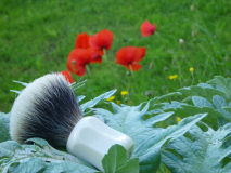 sotd 26.05.16