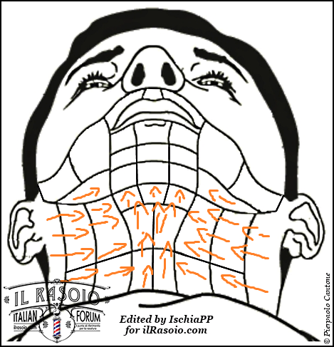 VERSO DEL CONTROPELOXrD