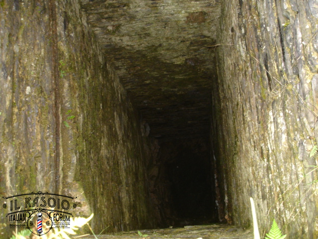 DSC07219