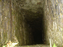 DSC07219