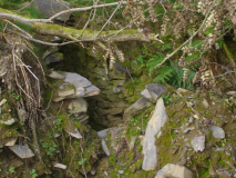 DSC07217