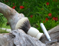 sotd 16.6.16