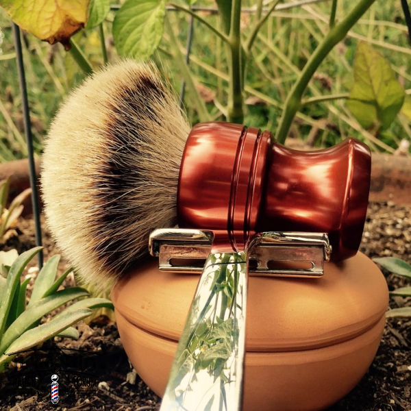 SOTD Jun 18 2016 1