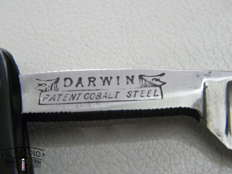 DSCN5079