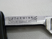 DSCN5079