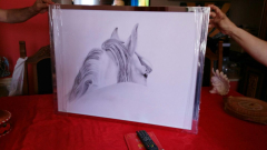 IMG-20160618-WA0002