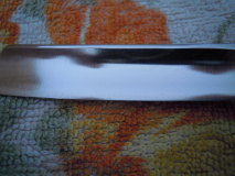 DSCN2010[1]