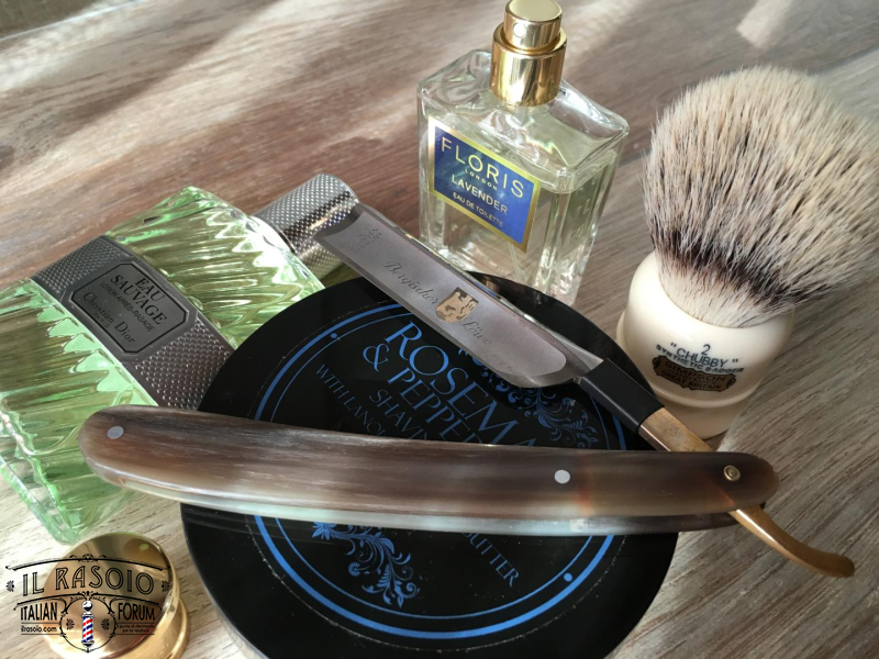 SOTD 7/7/2016
