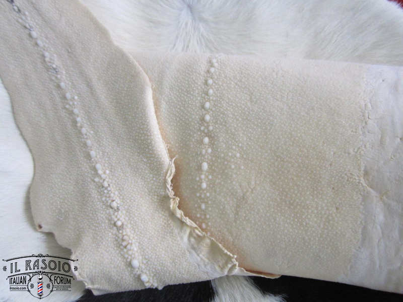 rayskin white