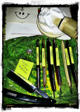 20160721 030749-1 Hagrid Vignette Peri