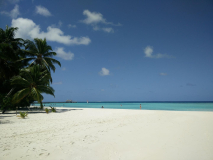 Maldive