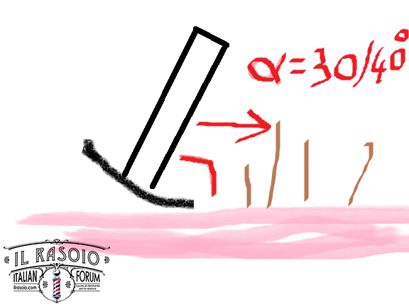 Immagine1