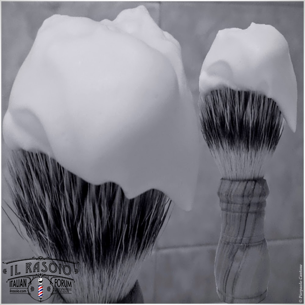 SOTD20160802 LauroLnH