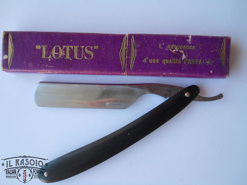 lotus 377