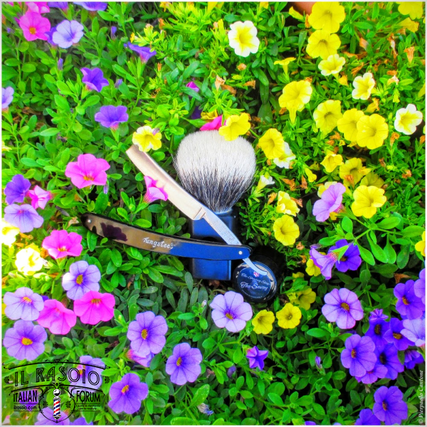 SOTD20160810 Savoia