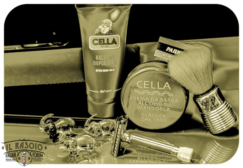 SOTD 12/08/2016