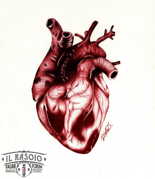 Heart