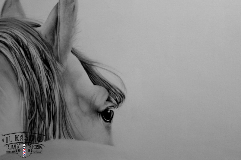 Horse detail