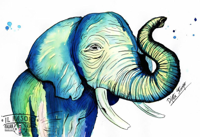 Elephant