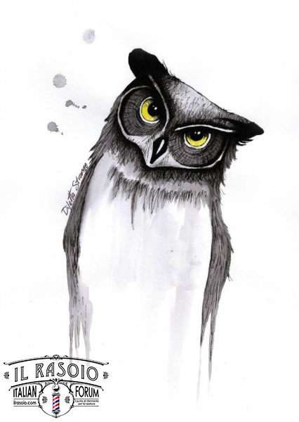 Owl
