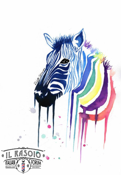 Zebra