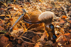 SOTD  Sep 9 2016