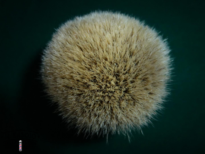 P1030667