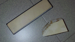 PDSC0995