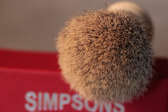 simps 10