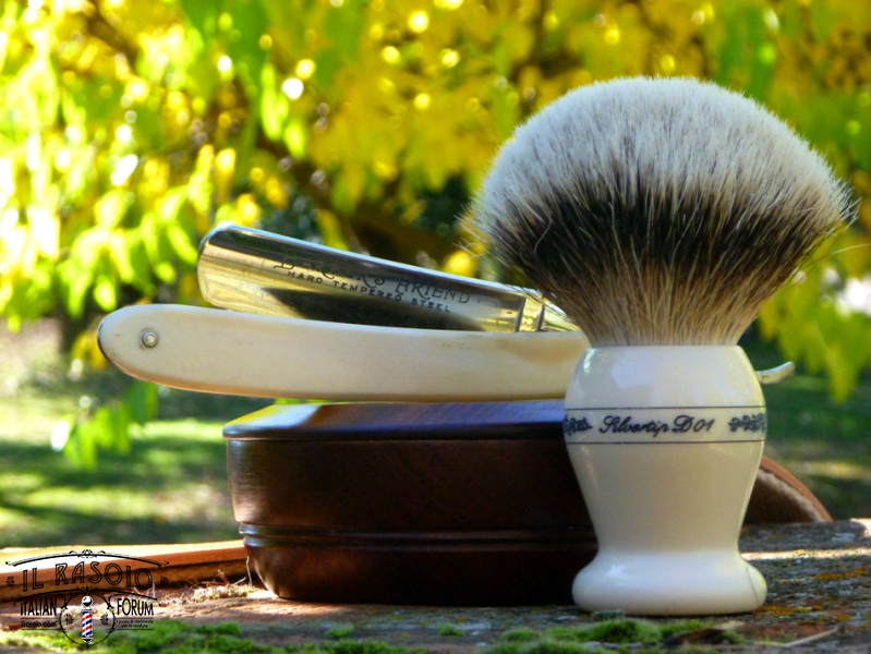 sotd 1.11.16